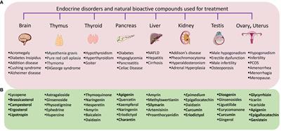 Editorial: Global excellence in natural products for endocrine disorders